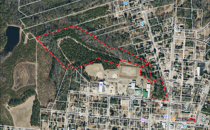 Pictures of Land property located at Main Street, Ellerbe, NC 28338 for sales - image #1