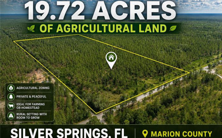 Pictures of Land property located at Northeast 90th Street Road, Fort McCoy, FL 32134 for sales - image #1