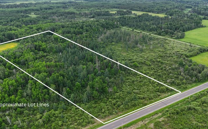 Pictures of Land property located at 8xxx Townline Road, Forbes, MN 55738 for sales - image #1