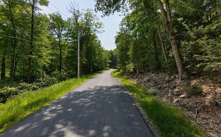 Pictures of Land, Special Purpose property located at Taylor Road, Mountain Dale, NY 12763 for sales - image #1