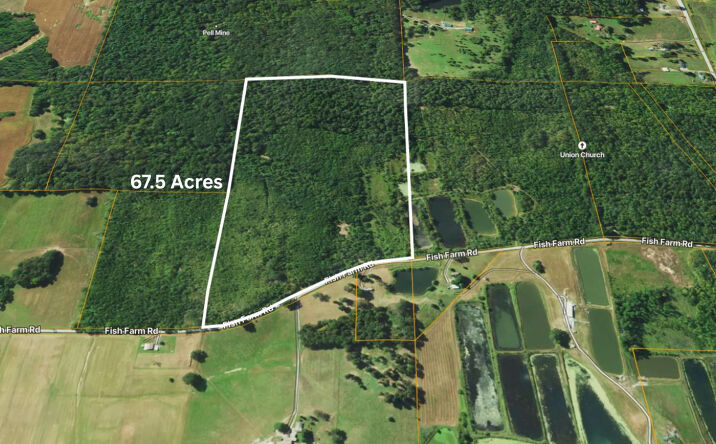 Pictures of Land, Multifamily property located at 70 Fish Farm Road, Golconda, IL 62938 for sales - image #1