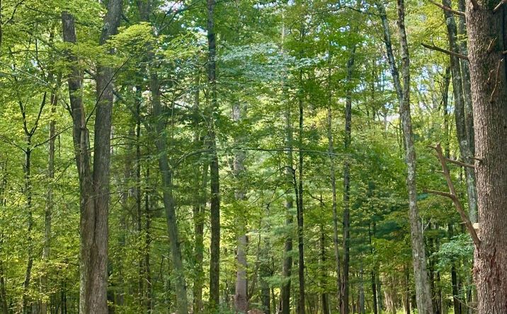 Pictures of Land, Multifamily property located at 766 County Route 6, High Falls, NY 12440 for sales - image #1