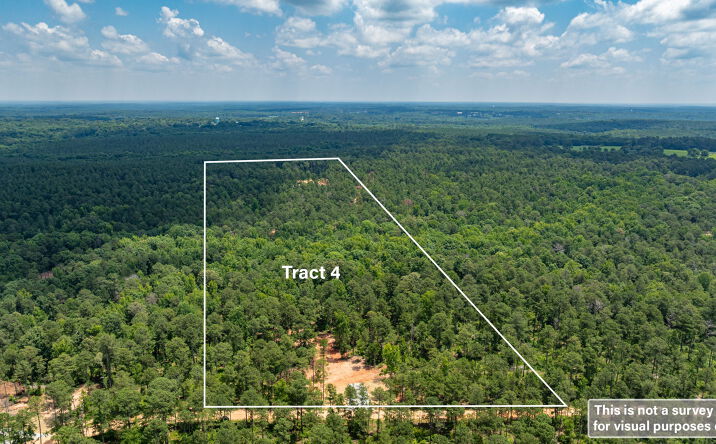 Pictures of Land property located at 557 Faust Farm Road, Crawford, GA 30630 for sales - image #1