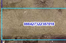 34247800
