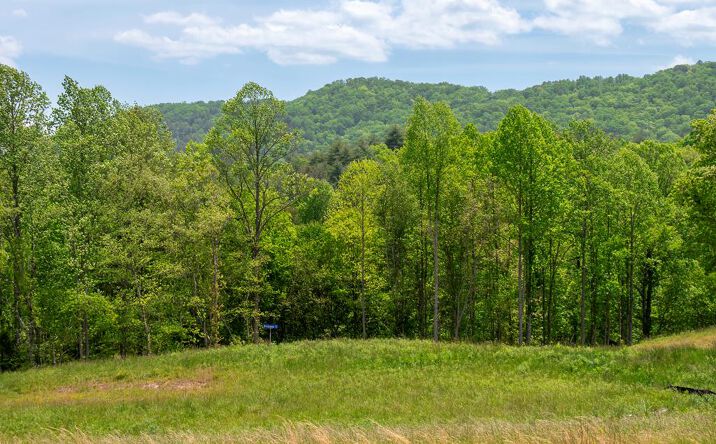 Pictures of Land property located at Lot 15 Waterstone Way, Mineral Bluff, GA 30559 for sales - image #1
