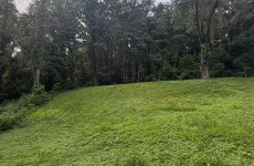 34276841