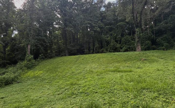 Pictures of Land property located at 59 Bradley Street, Blue Ridge, GA 30513 for sales - image #1