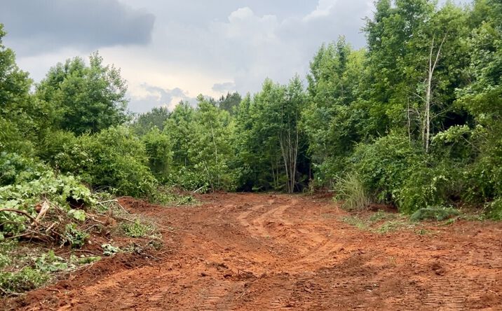 Pictures of Land property located at 0 Highway 124, Enterprise, AL 36330 for sales - image #1