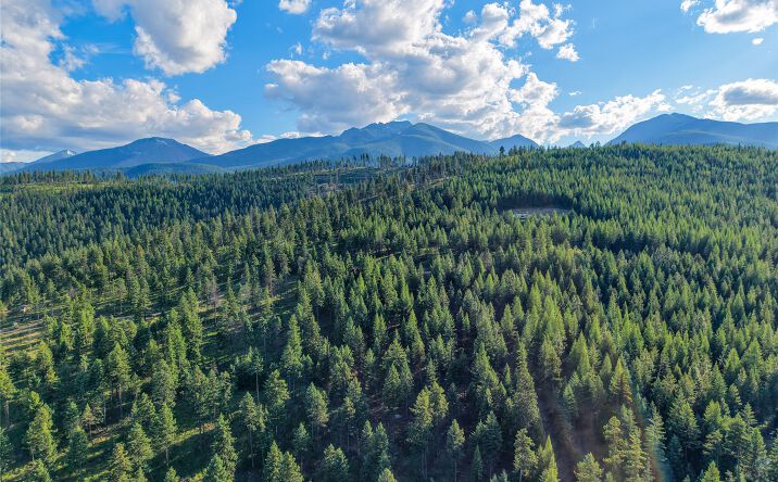 Pictures of Land property located at Lot 11 Panoramic View Drive, LIBBY, MT 59923 for sales - image #1