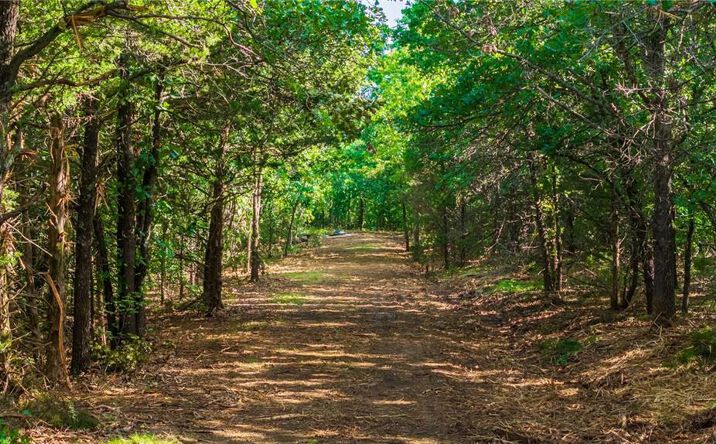 Pictures of Land, Special Purpose property located at TBD T Highway, Osceola, MO 64776 for sales - image #1