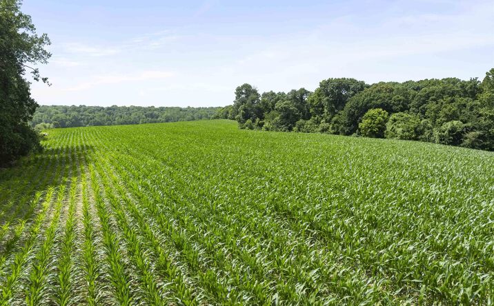 Pictures of Land property located at N Highway 9 County Road, Lewistown, IL 61542 for sales - image #1