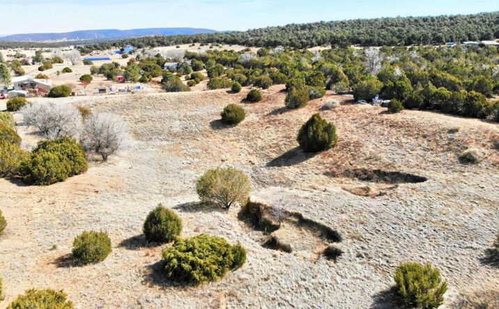 Pictures of Land property located at 136 Brannan Road NE, Tijeras, NM 87059 for sales - image #1