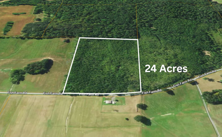 Pictures of Land property located at 72 Fish Farm Road, Golconda, IL 62938 for sales - image #1