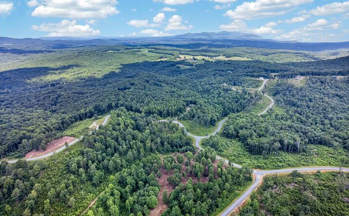 Pictures of Land property located at LT 227 Vineyard At Yukon, Talking Rock, GA 30175 for sales - image #1