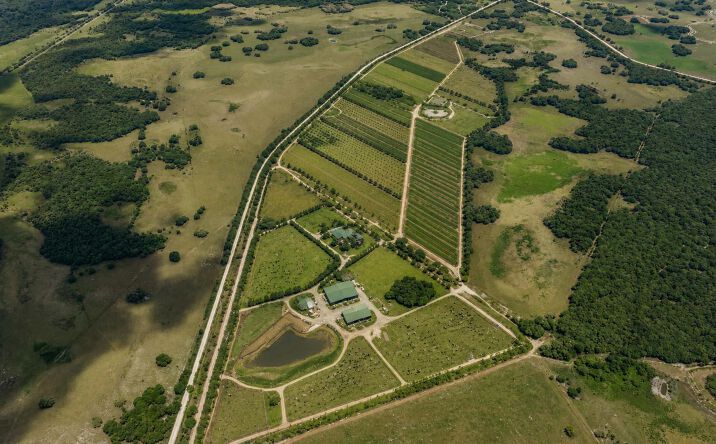 Pictures of Land property located at Dooley Grade Rd, Clewiston, FL 33440 for sales - image #1