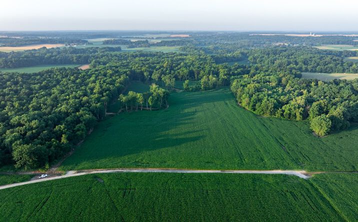 Pictures of Land property located at 0000 N Lodge Ln, Scheller, IL 62883 for sales - image #1