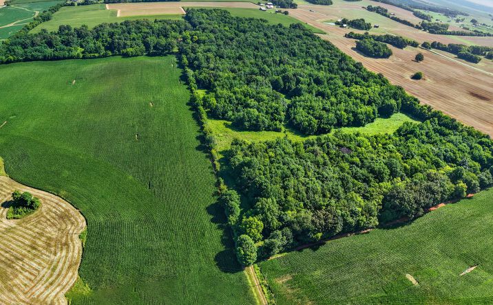 Pictures of Land property located at 5202 Jones Roe Rd, Springfield, TN 37172 for sales - image #1
