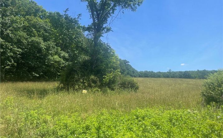 Pictures of Land property located at Schlafer Road, Guilford, NY 13780 for sales - image #1