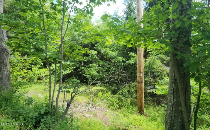 Pictures of Land property located at Route 32c, Windham, NY 12496 for sales - image #1