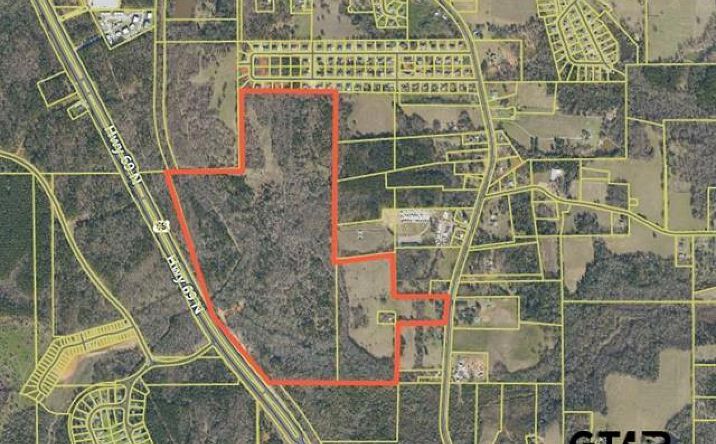 Pictures of Land property located at 12733 County Rd 431, Tyler, TX 75706 for sales - image #1