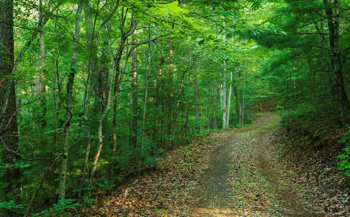 Pictures of Land property located at Gloryland Way, Murphy, NC 28906 for sales - image #1