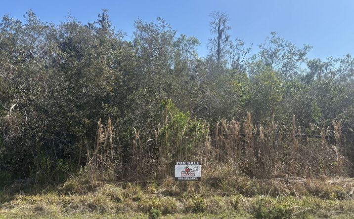 Pictures of Land property located at Polk City, Polk City, FL 33868 for sales - image #1