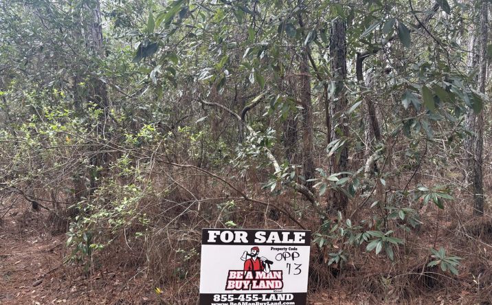 Pictures of Land property located at Polk City, Polk City, FL 33868 for sales - image #1