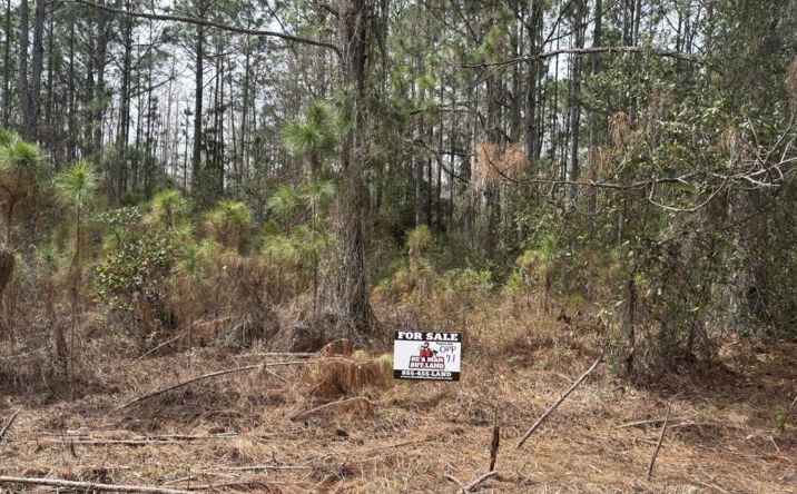 Pictures of Land property located at Polk City, Polk City, FL 33868 for sales - image #1