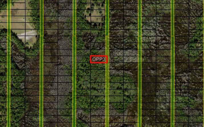Pictures of Land property located at Polk City, Polk City, FL 33868 for sales - image #1