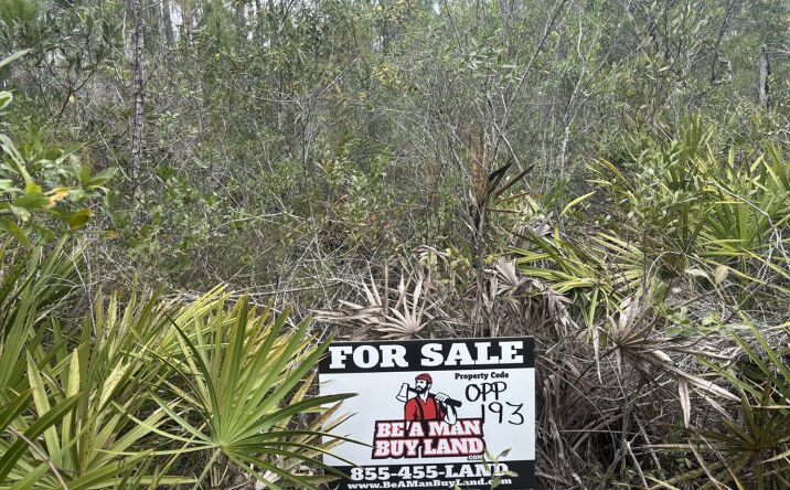 Pictures of Land property located at Polk City, Polk City, FL 33868 for sales - image #1