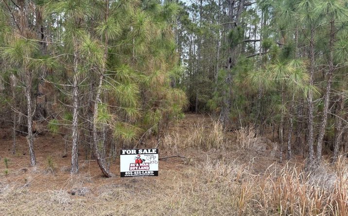 Pictures of Land property located at OPP200, Polk City, FL 33868 for sales - image #1