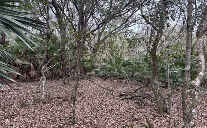 Pictures of Land property located at Polk City, Polk City, FL 33868 for sales - image #1