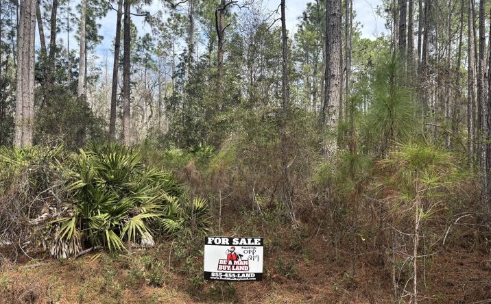 Pictures of Land property located at Polk City, Polk City, FL 33868 for sales - image #1