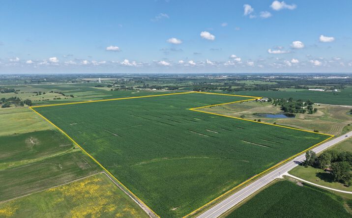 Pictures of Land property located at J12, Weldon, IA 50264 for sales - image #1
