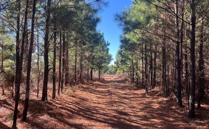 Pictures of Land property located at Sugarloaf Mountain Peak, Cameron, OK 74932 for sales - image #1
