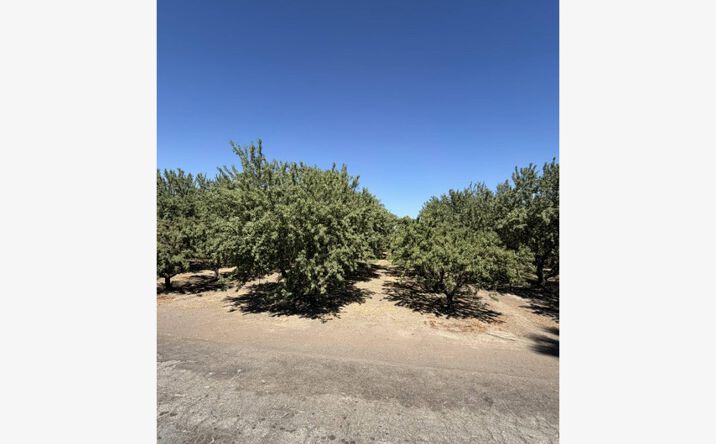 Pictures of Land property located at 4032 W INYO AVE, TULARE, CA 93274-9766 for sales - image #1