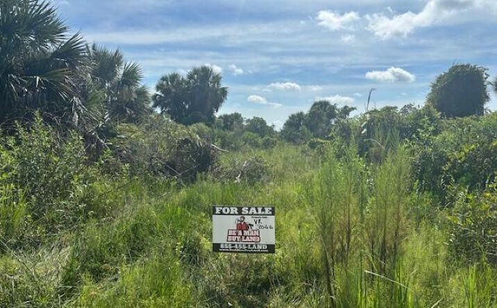 Pictures of Land property located at NW 312th St, Okeechobee, FL 34972 for sales - image #1
