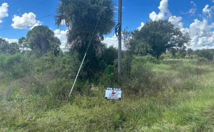 Pictures of Land property located at 19216 NW 300th St, Okeechobee, FL 34972 for sales - image #1