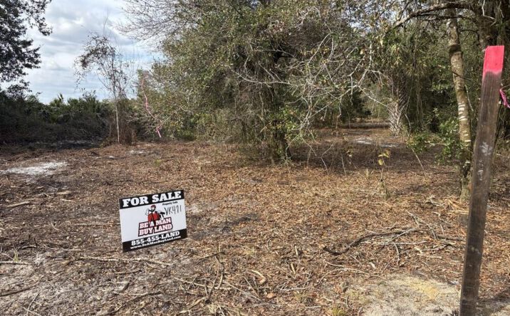 Pictures of Land property located at NW 296th St, Okeechobee, FL 34972 for sales - image #1