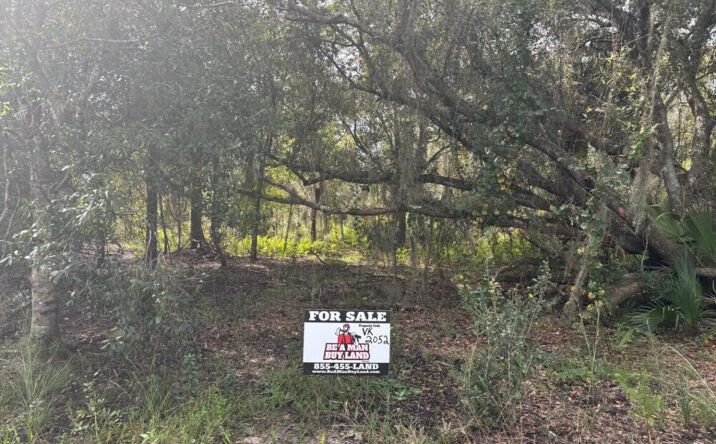 Pictures of Land property located at NW 304th St, Okeechobee, FL 34972 for sales - image #1