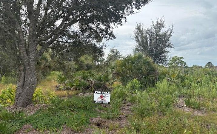 Pictures of Land property located at NW 302nd St, Okeechobee, FL 34972 for sales - image #1