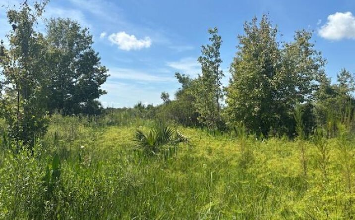 Pictures of Land property located at NW 310th St, Okeechobee, FL 34972 for sales - image #1