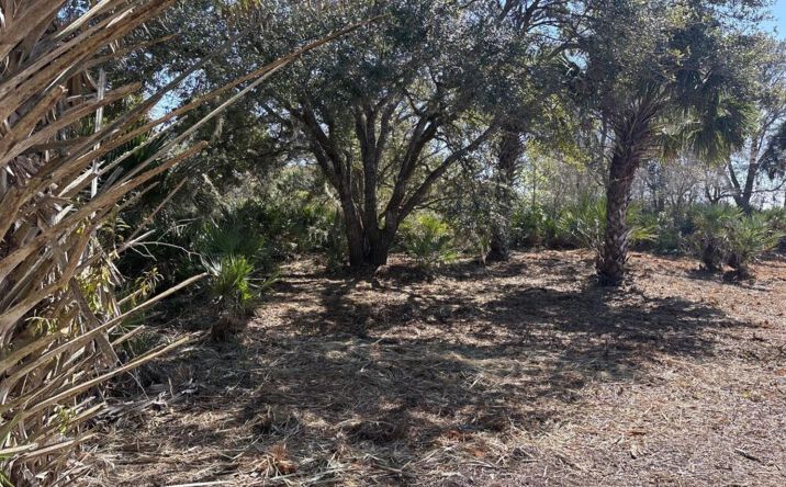 Pictures of Land property located at NW 304th St, Okeechobee, FL 34972 for sales - image #1
