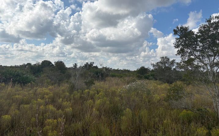 Pictures of Land property located at NW 314th St, Okeechobee, FL 34972 for sales - image #1