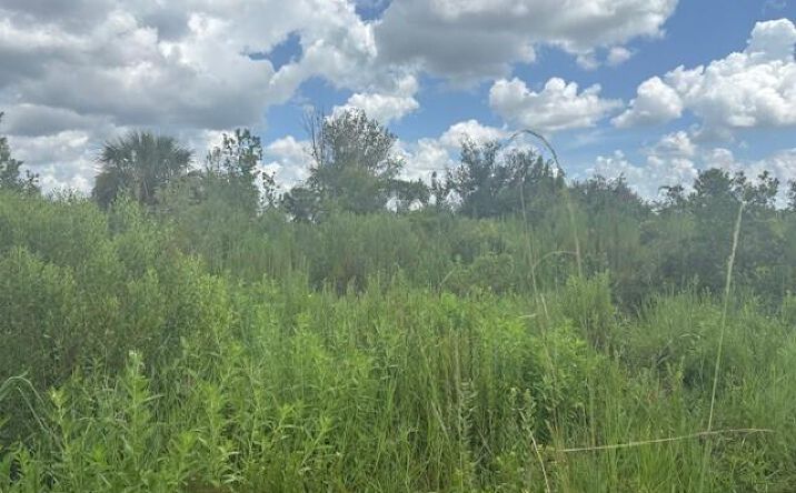 Pictures of Land property located at NW 312th St, Okeechobee, FL 34972 for sales - image #1