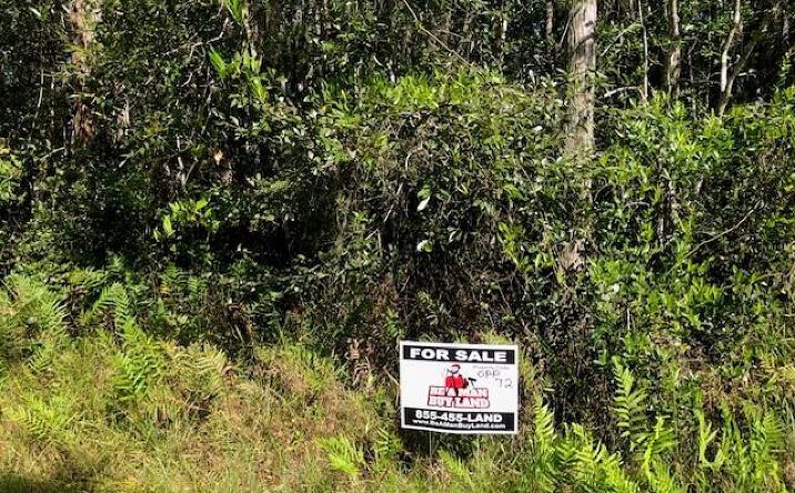 Pictures of Land property located at Polk City, Polk City, FL 33868 for sales - image #1
