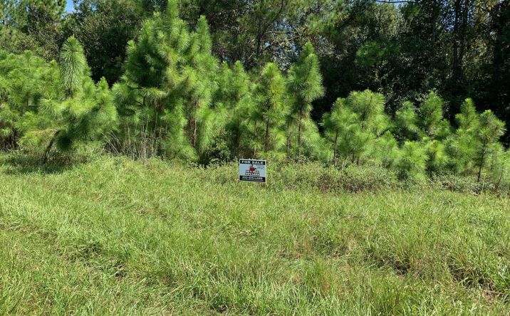 Pictures of Land property located at Polk City, Polk City, FL 33868 for sales - image #1