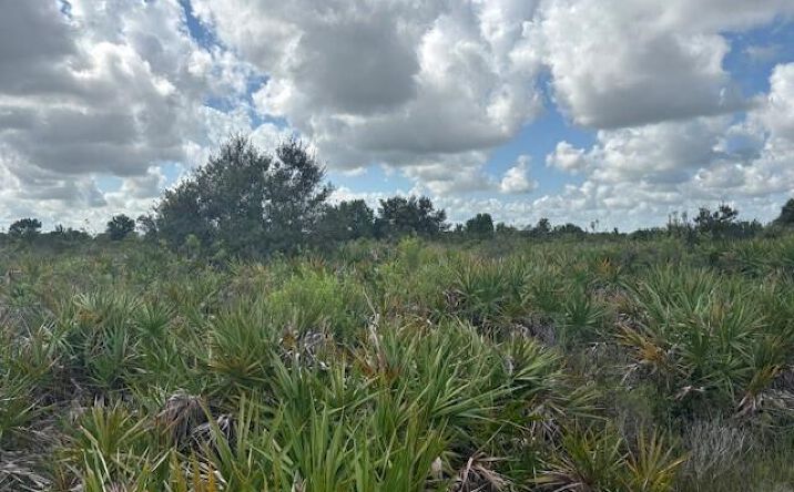 Pictures of Land property located at NW 314th St, Okeechobee, FL 34972 for sales - image #1