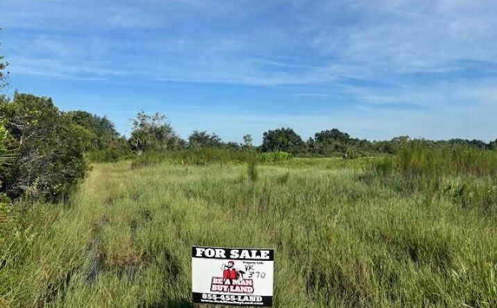 Pictures of Land property located at NW 304th St, Okeechobee, FL 34972 for sales - image #1