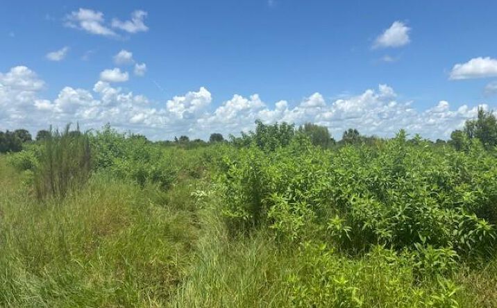 Pictures of Land property located at NW 318th St, Okeechobee, FL 34972 for sales - image #1